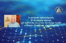 A sertések egészségesek, jó étvággyal esznek, jól fejlődnek és a hús minősége kiváló a Matrix Drops-nak köszönhetően